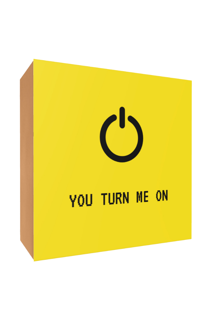 "You Turn Me On" Box- BIGG Brownies & THICC Cookies - New York Style Cookies